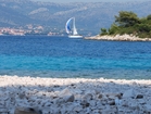 Apartments Sunshine - visit the island Badija nearby and enjoy at the pebble beach undere the pinewoods